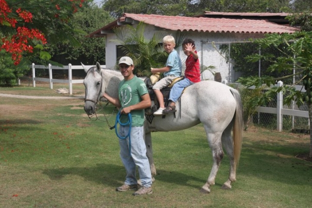  Campi equestri 